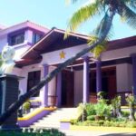 PLD Y EL PENCO AL DESNUDO