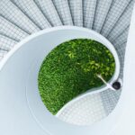 The Growth of Chicago: So Much Building, So Little Architecture