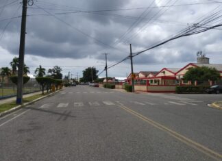 Diputada pide del gobierno mayor atención para SPM