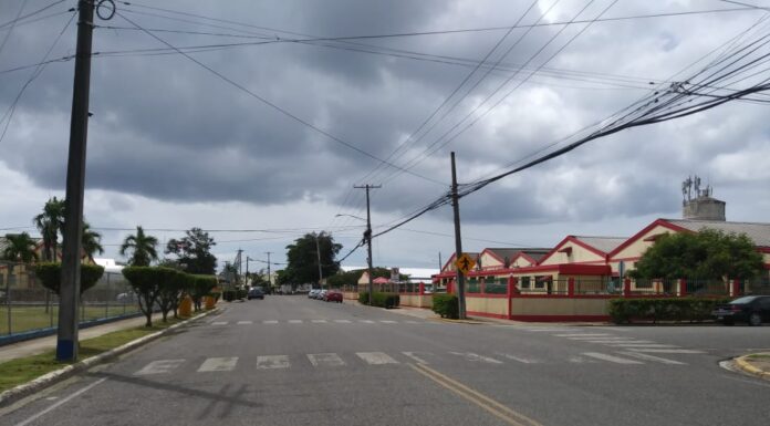 Diputada pide del gobierno mayor atención para SPM