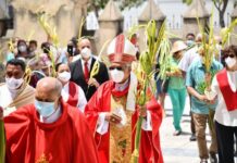 Actividades de cada diócesis del país en esta Semana Santa