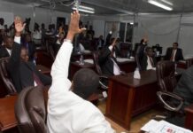 HAITI. SENADORES PIDEDEN UN NUEVO GOBIERNO DE TRANSICION.