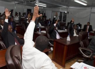 HAITI. SENADORES PIDEDEN UN NUEVO GOBIERNO DE TRANSICION.