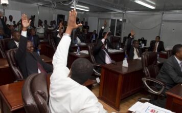 HAITI. SENADORES PIDEDEN UN NUEVO GOBIERNO DE TRANSICION.