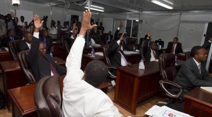 HAITI. SENADORES PIDEDEN UN NUEVO GOBIERNO DE TRANSICION.