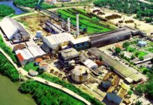 CAEI recertifica su gestión sostenible bajo los estándares Bonsucro y Pro Terra