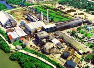 CAEI recertifica su gestión sostenible bajo los estándares Bonsucro y Pro Terra