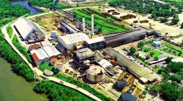 CAEI recertifica su gestión sostenible bajo los estándares Bonsucro y Pro Terra