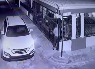 Ladrones de retrovisores reciben al nuevo general con varios robos en SPM