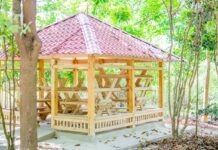 Ayuntamiento de SPM avanza trabajos de rescate área ecológico y refugio Laguna Mallén