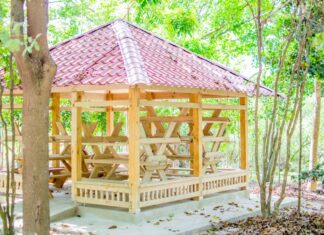 Ayuntamiento de SPM avanza trabajos de rescate área ecológico y refugio Laguna Mallén