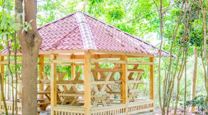 Ayuntamiento de SPM avanza trabajos de rescate área ecológico y refugio Laguna Mallén