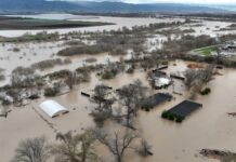 EE.UU: Biden declara catástrofe en los estados California y Alabama