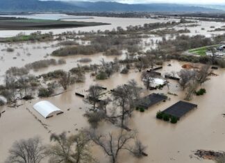 EE.UU: Biden declara catástrofe en los estados California y Alabama
