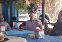 Experto asegura hay solución para el sargazo en RD; afirma se puede hacer abono para la agricultura