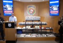 SPM: Autoridades desmantelan red de narcotráfico y apresan uno