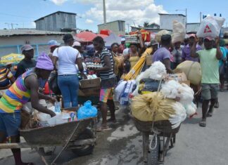 Haití se propone dejar importar productos alimenticios desde RD