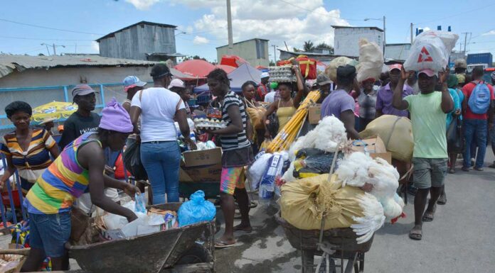 Haití se propone dejar importar productos alimenticios desde RD