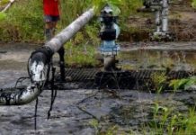 Revelan probables yacimientos petróleo y gas natural en R. Dom.