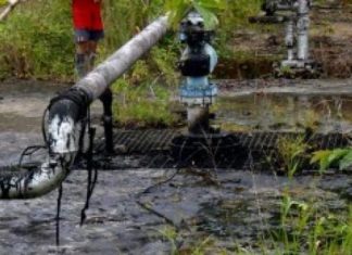 Revelan probables yacimientos petróleo y gas natural en R. Dom.