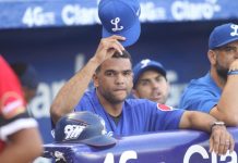 Tigres del Licey extiende y promueve Audo Vicente a Vicepresidente de Operaciones