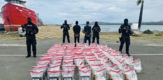 Ocupan 754 paquetes de cocaína en una costa de Rep. Dominicana