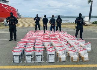 Ocupan 754 paquetes de cocaína en una costa de Rep. Dominicana