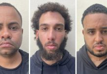 Arrestan en Rep. Dominicana tres miembros de la FARC, de P. Rico