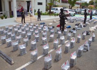 Ocupan una tonelada de cocaína en contenedor que iba Holanda