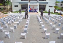 Apresan dos y confiscan más de una tonelada de cocaína