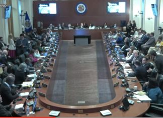 No logra votos suficientes en OEA resolución sobre Venezuela