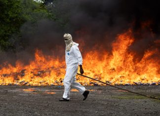 R. Dominicana incinera cocaina valorada en 250 millones dólares