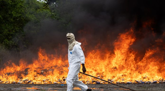 R. Dominicana incinera cocaina valorada en 250 millones dólares