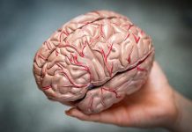 CUIDA TU SUEÑO . AFECTA DEMACIADO EL CEREBRO HUMANO.