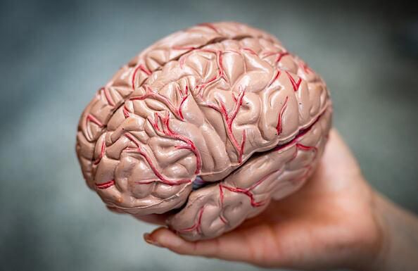 CUIDA TU SUEÑO . AFECTA DEMACIADO EL CEREBRO HUMANO.