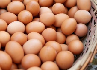 CUANTOS HUEVOS DEBE COMER AL DIA. PARA LA SALUD.