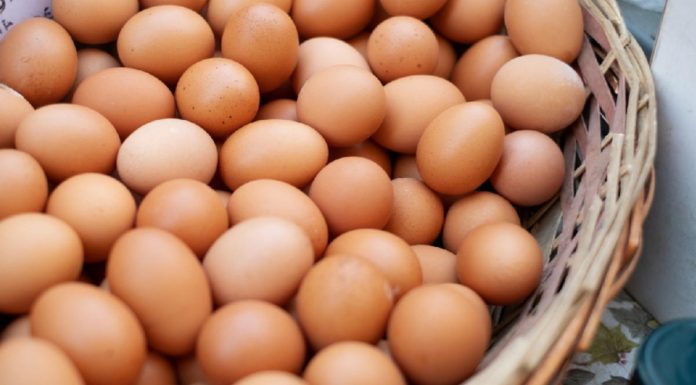 CUANTOS HUEVOS DEBE COMER AL DIA. PARA LA SALUD.