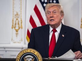 Encuestas predicen un desastre: el apoyo a Trump se derrumba