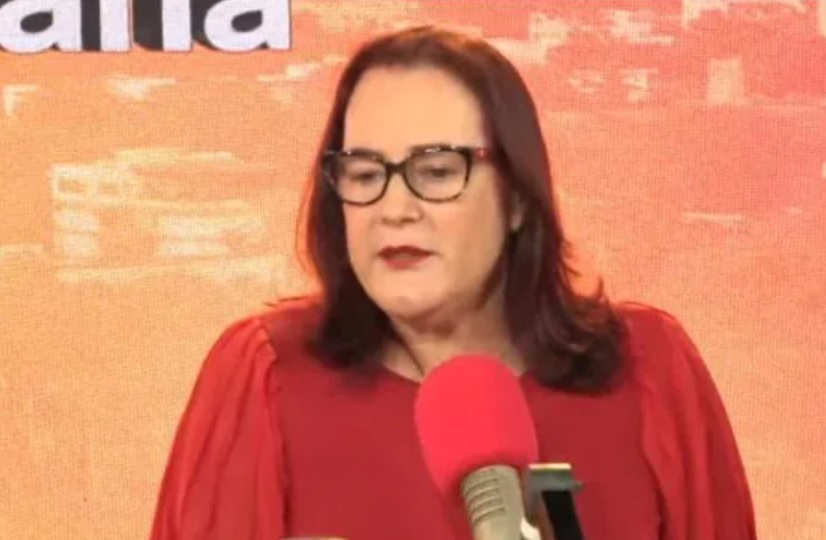 Ve Gobierno PRM trabaja para que FP ó PLD ganen elecciones imagen