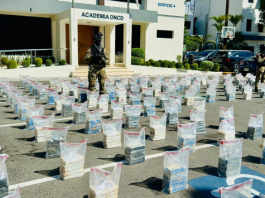 Ocupan más de una tonelada cocaína en costas Pedernales